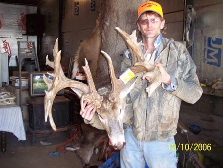 huge buck